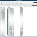 Find out which vehicle models are supported by DTS Monaco 9.02