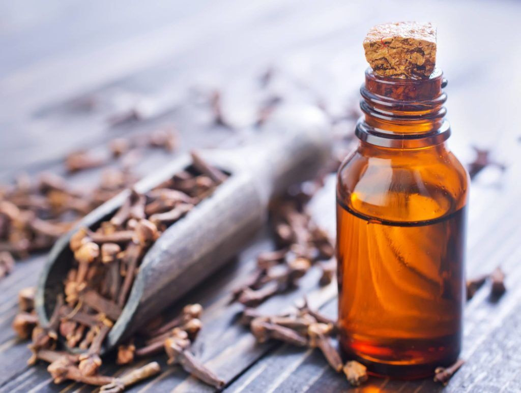 Cloves Oil for Car Interior Cleaning