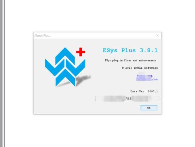 BMW E-SYS Software